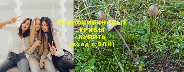 мет Аркадак