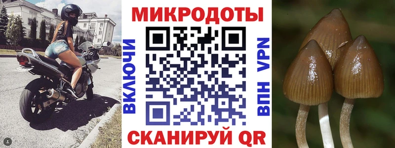 хочу наркоту Знаменск Псилоцибиновые грибы мухоморы